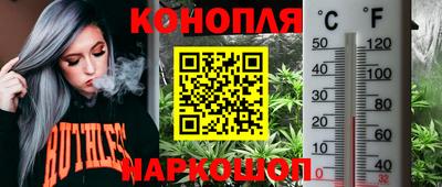 стафф Краснознаменск